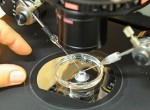Современные тенденции диагностики и лечения бесплодия