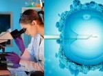 Метод ИКСИ (ICSI)