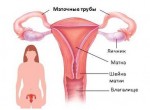 Анализы на проходимость маточных труб