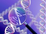 Генетическое исследование при неразвивающейся беременности Генетическое исследование при неразвивающейся беременности
